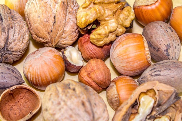 Dió, mogyoró: már napi tíz gramm csodát művel