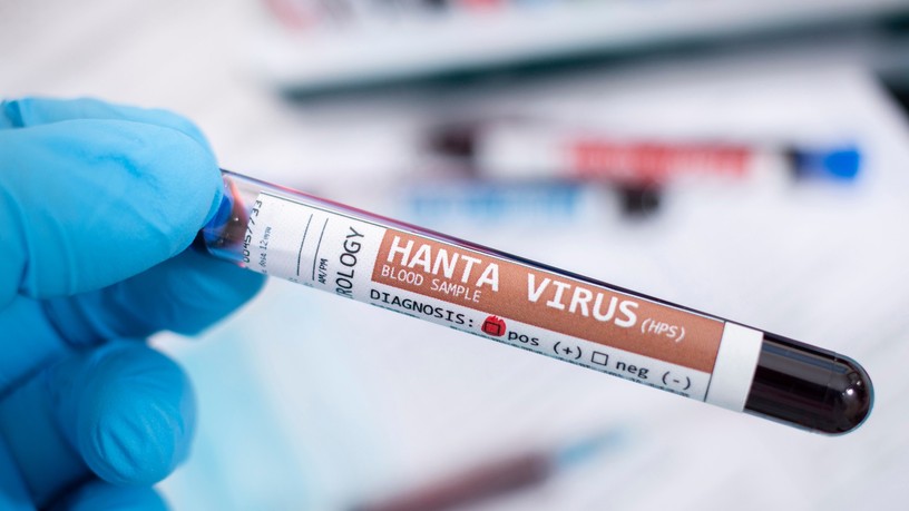 hantavírus ellen vakcina mrns