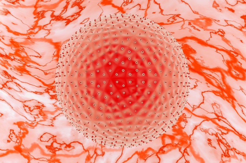 Az LGV fertőzést a „sima” Chlamydia fertőzéshez (Chlamydia trachomatis D-K csoport) hasonló kórokozó okozza (Chlamydia trachomatis L1-L3 csoport), de a baktérium egyedi sajátosságai miatt lényegesen súlyosabb lefolyás várható. 