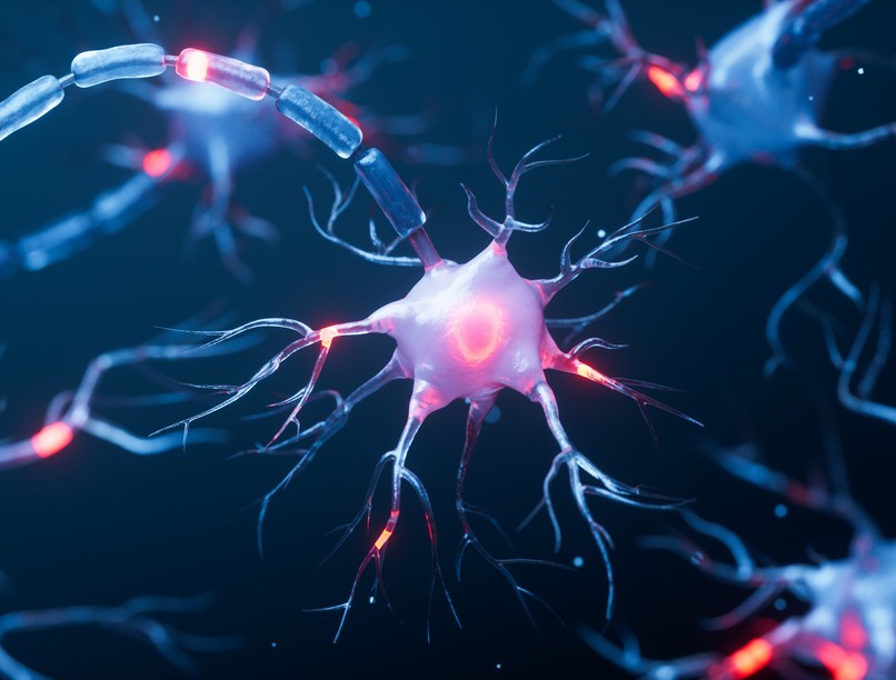 Idegsejttípusok RNS-készlet módszer magyar kutató