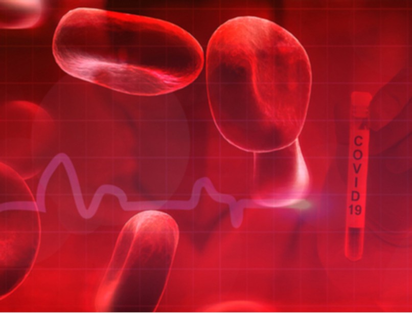 koronavírus, Covid-19, gyógyszer, antitest, vérplazma