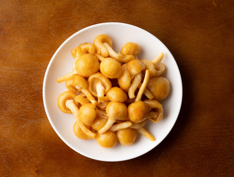 gomba mikroműanyag ellen