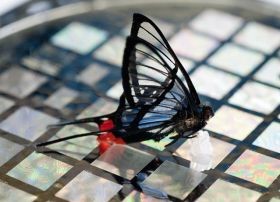 Égésterápia: új módszer harmadfokú égések kezelésére