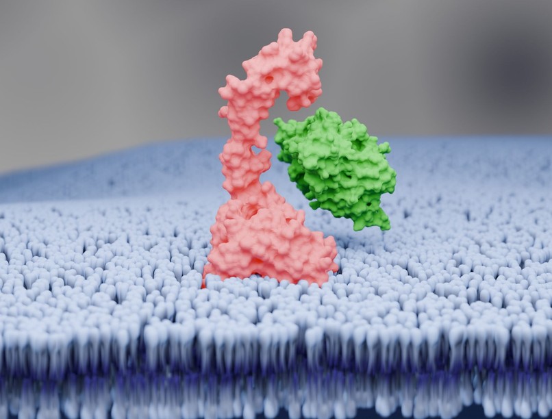 gyógyszeres kezelés PCSK9-gátlók alkalmazása