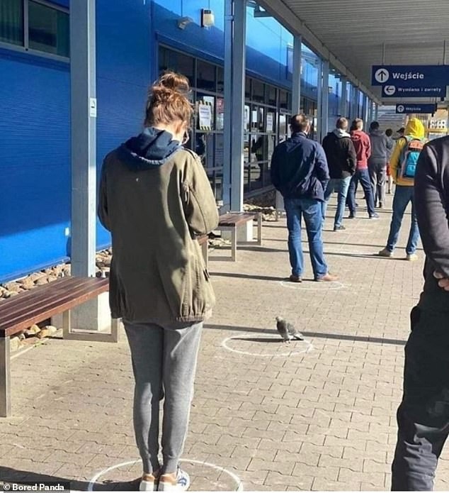 Galamb - beállok a sorba, hátha kapok énis valamit.