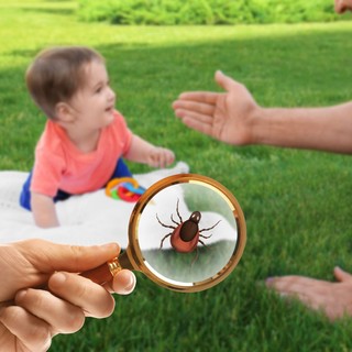 Megnagyobbodtak a nyirokcsomók kullancscsípés után – ez baj? Az orvos válaszol című cikk nyitóképe