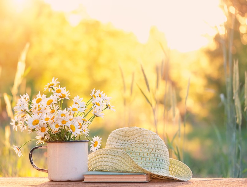 orvosmeteorológia, front, időjárás, nyár