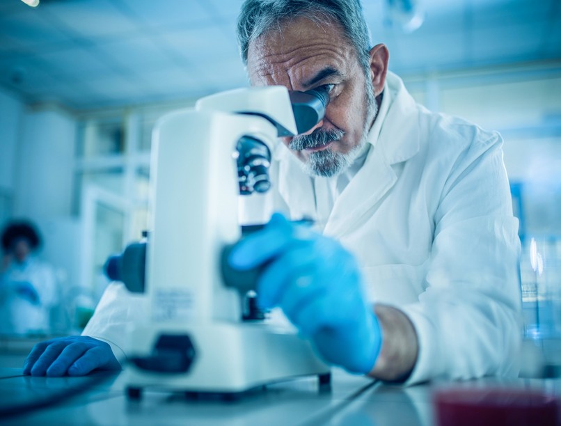 magyar tudomany unnepe