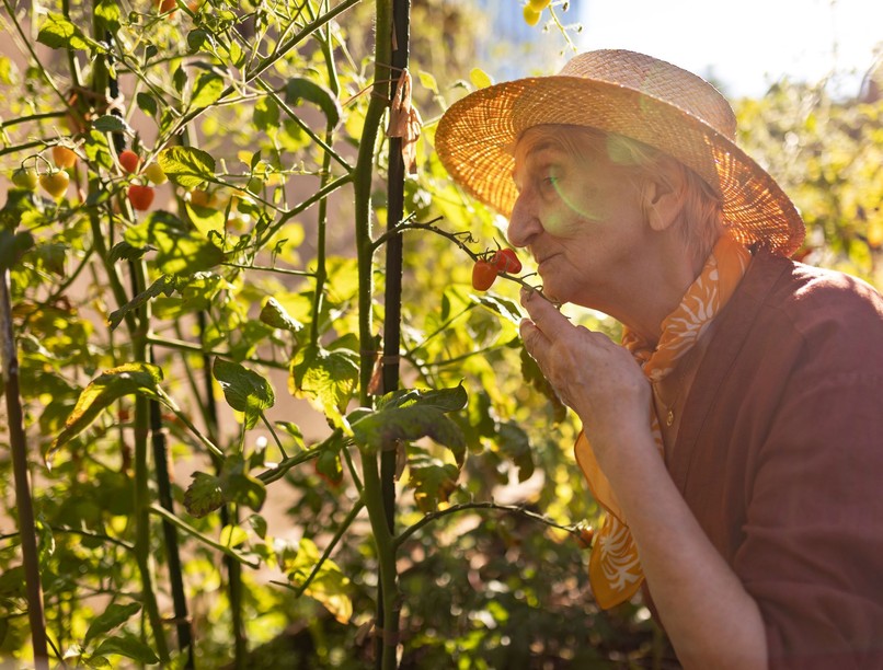 Alzheimer-kór legkorábbi jele szaglás