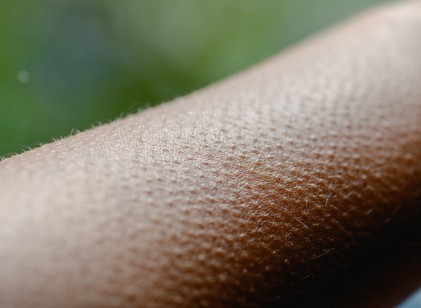 Miért ráz ki a hideg egy jó zenétől vagy egy érzelmes pillanattól? című cikk nyitóképe