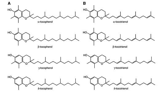 Új vitaminforradalom? (egy új könyv elemzése)