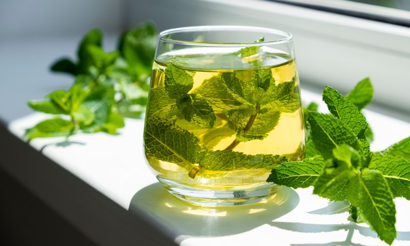 A borsmenta az év gyógynövénye!