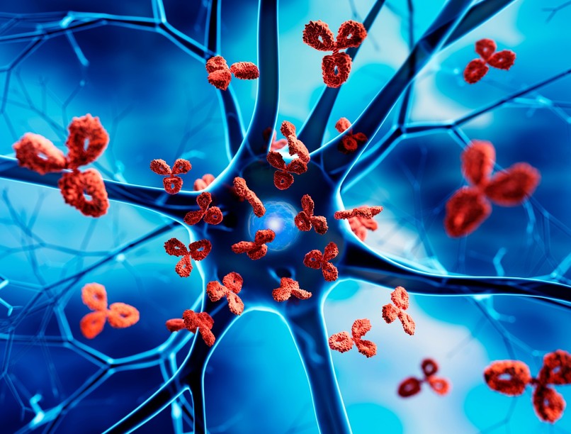 autoimmun betegség oka tünete kezelése