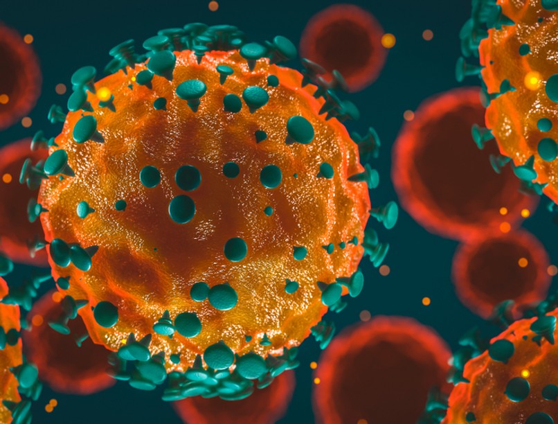 koronavírus, covid-19, pandémia, eredete