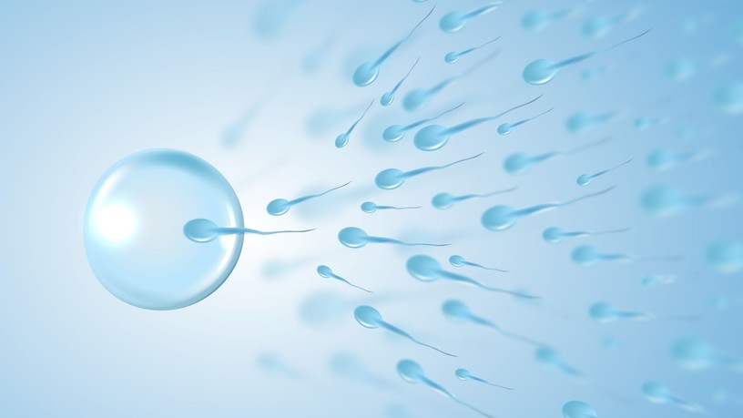 hogyan távolítható el a sperma ondó szex után