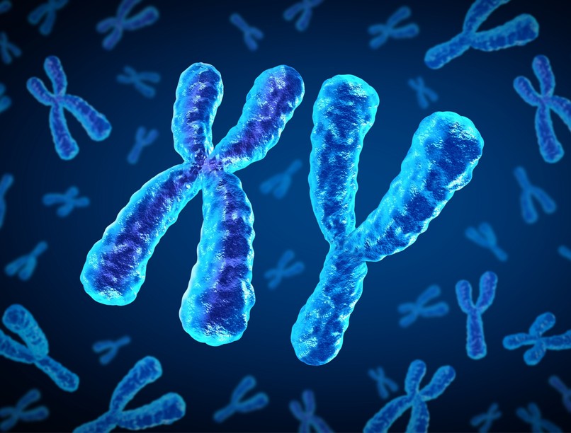 DSD nemi fejlődés zavar férfi nő