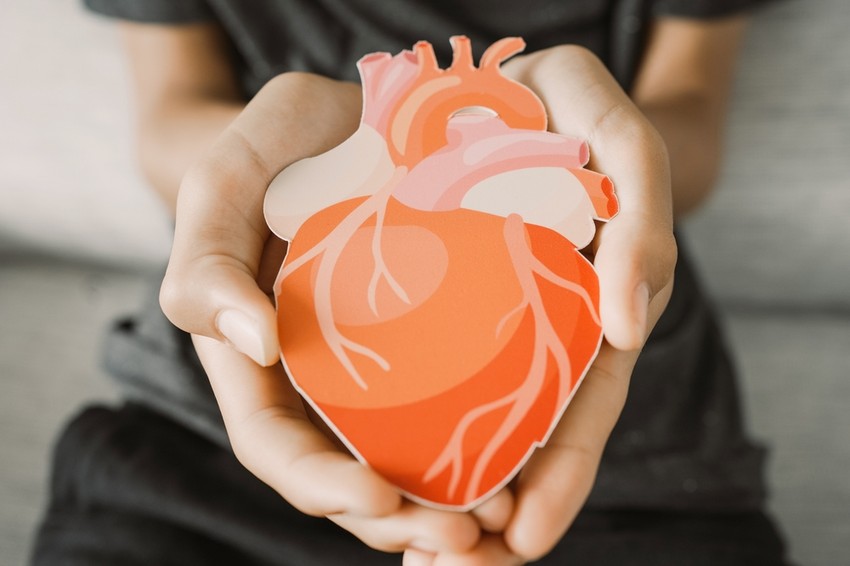 A teljes szívblokk akkor következik be, amikor a szív felső kamráiban (pitvarokban) az elektromos impulzusok nem jutnak le az alsó kamrákba (kamrákba).