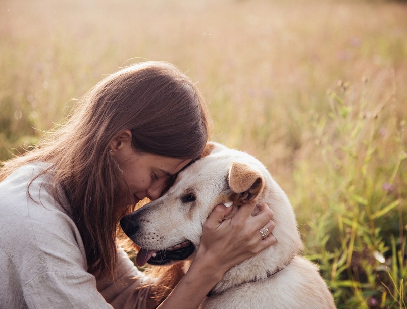 szembetegség, allergia, szőr, könnyezés, viszketés