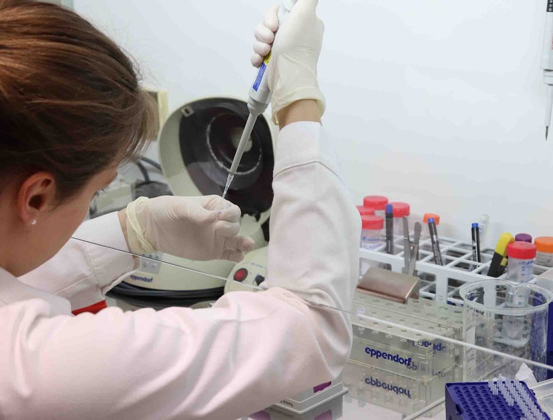 OCM, Kalkulátor, mellrák, emlőrák, daganatos betegség, kezelése, terápia