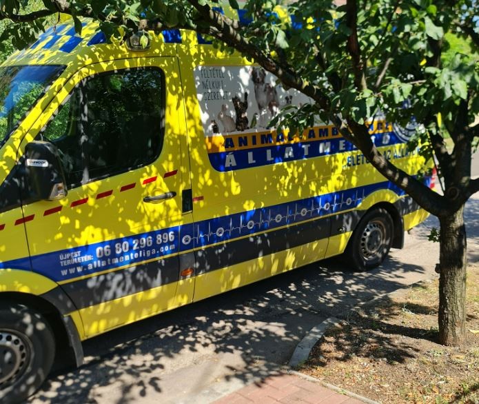 20 percre megálltak vacsorázni az állatmentők Budapesten, feljelentették őket