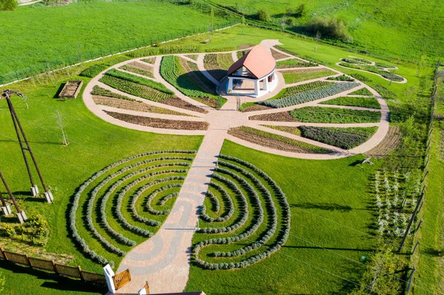 Sétált már a világ legnagyobb hárslevelén?