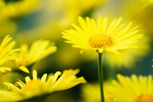 Hospice - az emberi méltóság tisztelete