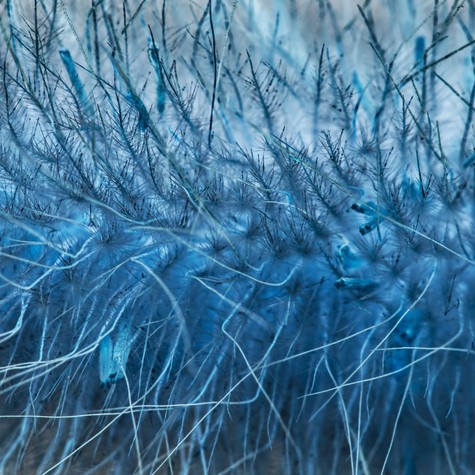 Ez lehet az új azbeszt! Súlyos egészségügyi kockázatra figyelmeztetnek a nanoszálak kutatói című cikk nyitóképe