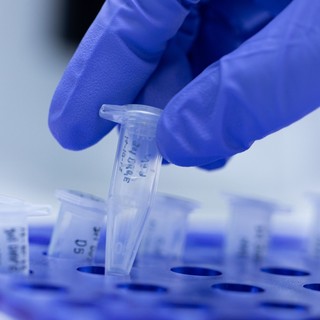 Új terápiát fejlesztenek magyar kutatók a COVID és az influenza ellen című cikk nyitóképe