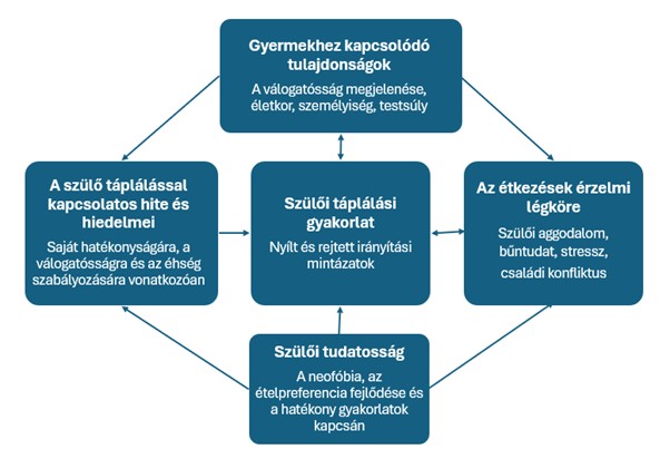 A gyermek válogatósságával összefüggést mutató szülői attitűdök, hiedelmek és viselkedéses mintázatok (Wolstenholme nyomán)