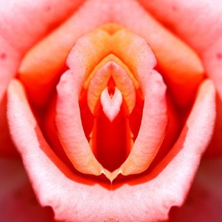 Ozempic-vagina: amikor a gyors fogyás az intim zónát is megváltoztatja című cikk nyitóképe