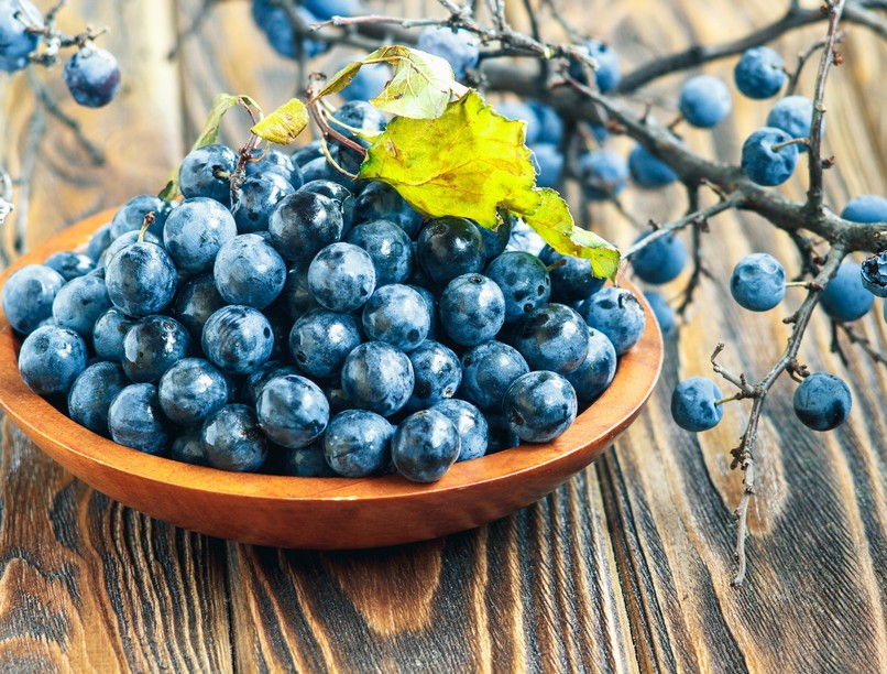 kökény, hatása, szereveztre