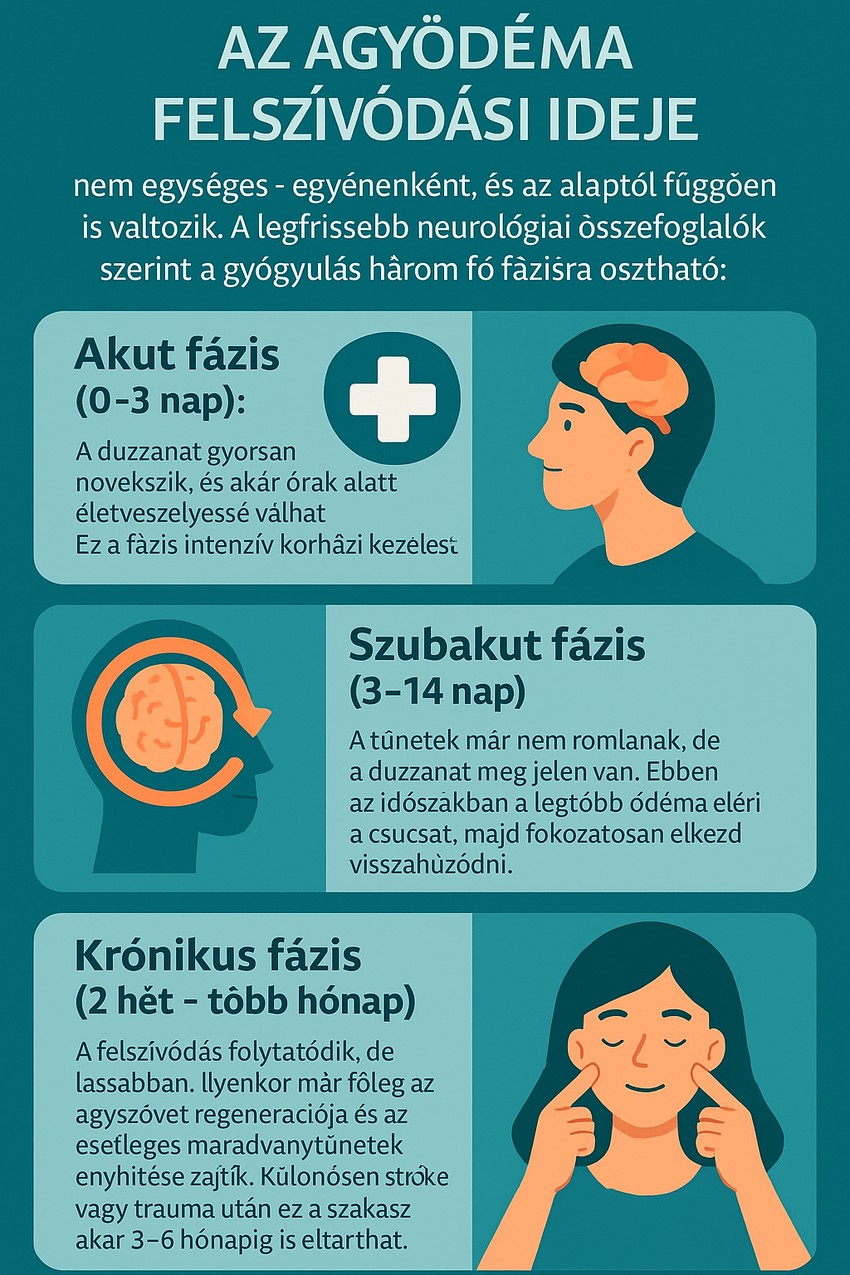 A gyógyulási esélyek attól is függnek, hogy az ödéma az agy mekkora területét érinti, illetve milyen típusú. Kezeletlenül a súlyos agyi ödéma végzetes lehet az agyra és az agytörzsre nehezedő nyomás következményei miatt. Súlyos esetekben tartós agykárosodás is kialakulhat.