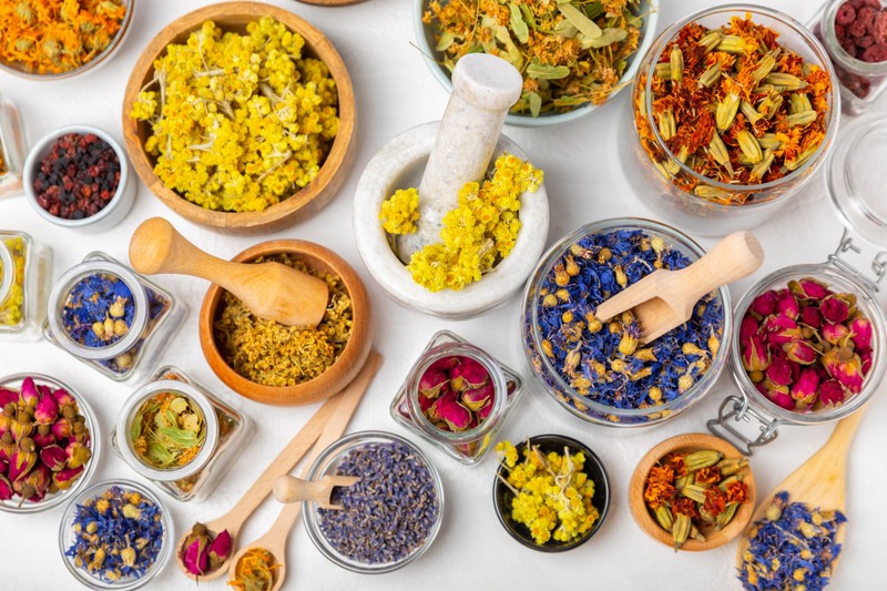 Fitoterápia: hogyan segíthetnek a gyógynövények az egészség megőrzésében?