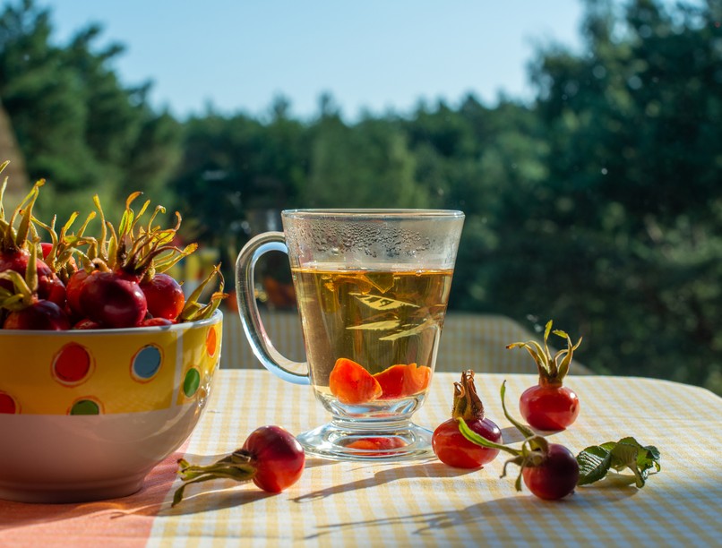 csipkebogyó, immunerősítés, gyógynövény megfázás