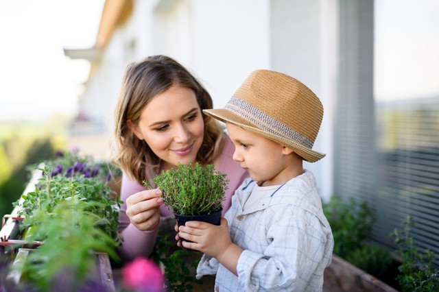 Gyógyteák őszre gyerekeknek - ezeket ajánlja Szabó Gyuri