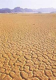 Az autista esete a sivataggal...