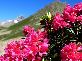 Világhírű celeb a kozmetikában - az őssejt az örök fiatalság forrása?!