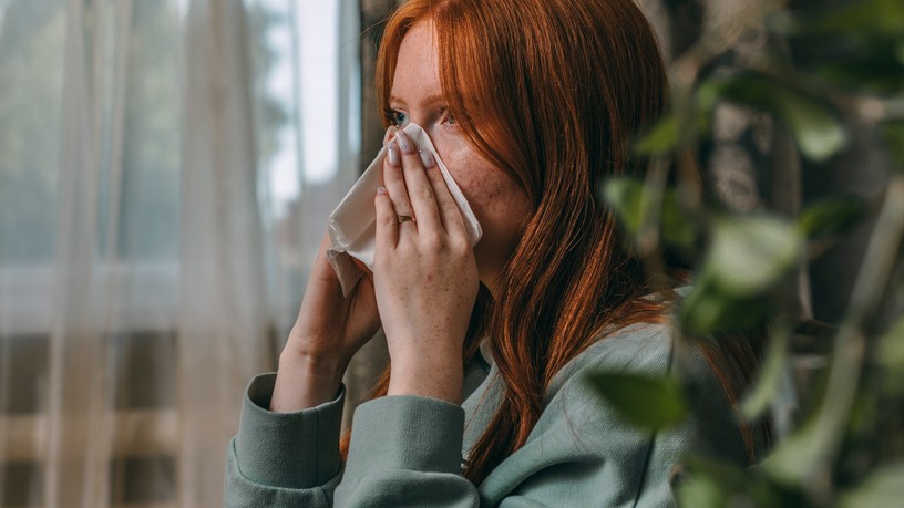 allergia-parlagfu-osz-orrfolyas-tusszoges