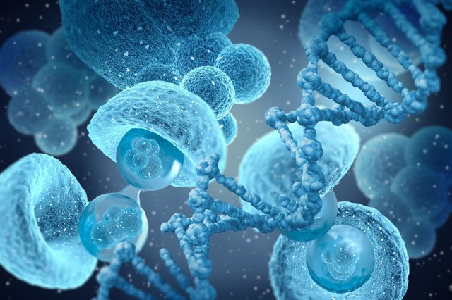 Mi fán terem az őssejtterápia? Ezeknél a betegségeknél használják jelenleg