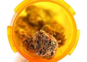 A marihuána hatása az érzelmekre