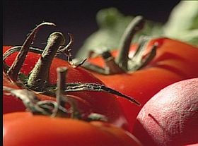 Praktika: mikor, mit igyunk napközben?