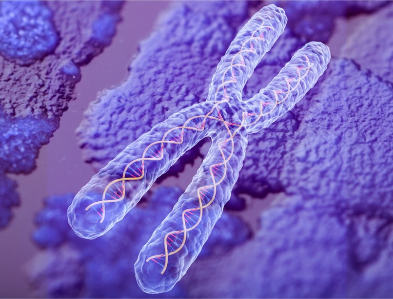 rákbetegség, rák, daganat, telomerek, rákkutatás, kutatás, mutáció