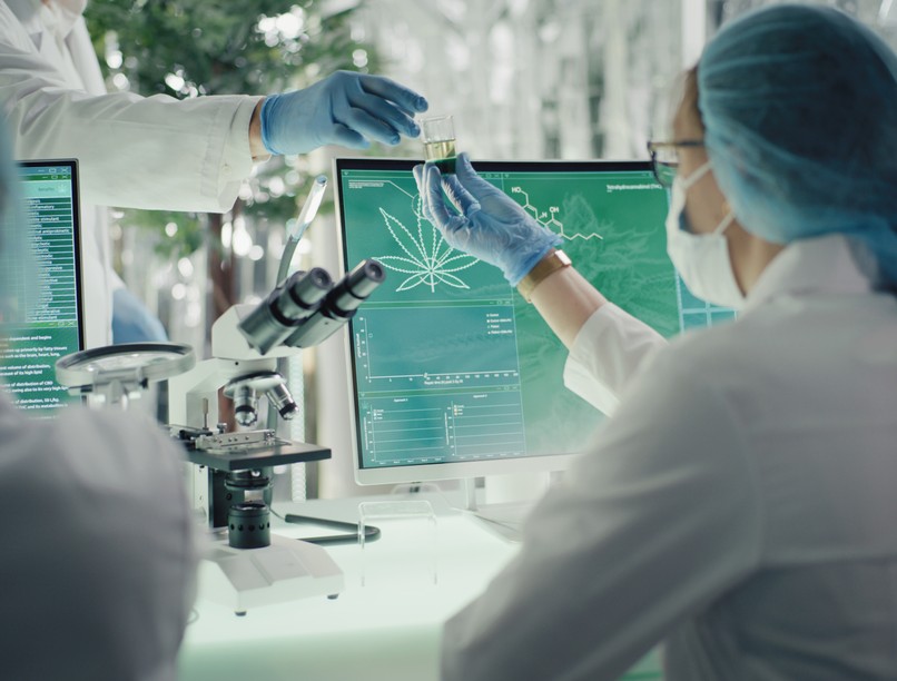 cbd, koronavírus, orvosi marihuána, covid