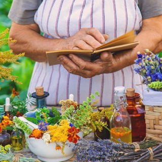 A nagymamáink régen jól tudták, hogy melyik az az 5 gyógynövény, amely megoldja az emésztési gondokat című cikk nyitóképe