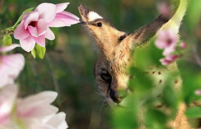 Ezt az imázsképet egy brit befektetési és hiteltársaság, a UK Investment and loan company’s finance circle készítette. 