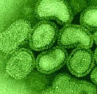 Egészségkalauz – mit olvastak, néztek a legtöbben?