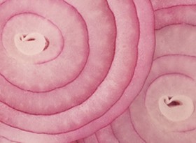 Akik legjobban a hagymát szeretik...