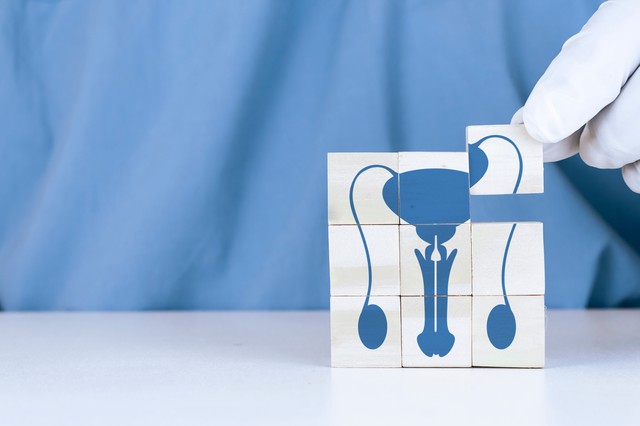 Priapizmus: tünetei, vizsgálata és kezelése