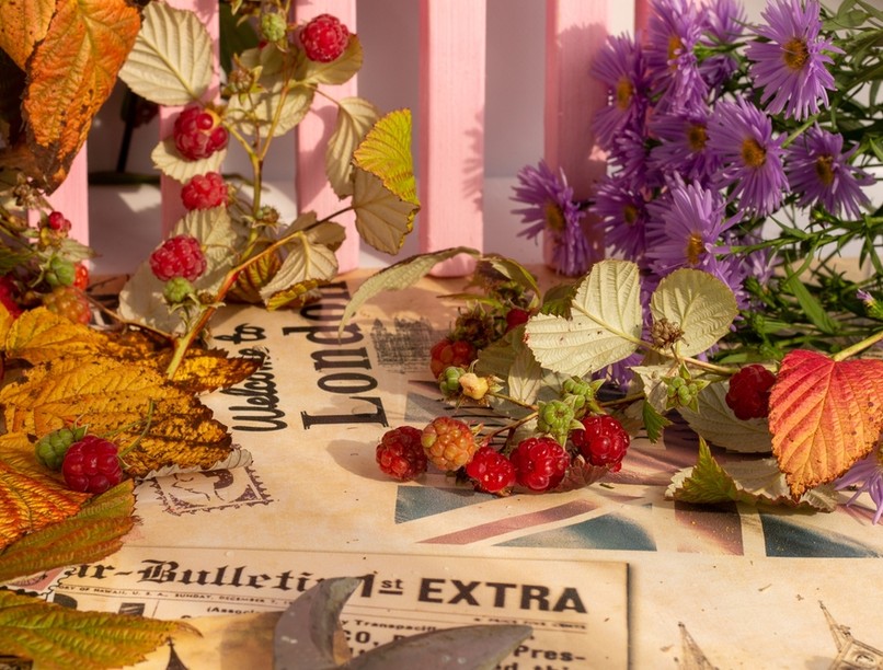 málna, málnalevél, vitamin, menstruáció, immunerősítő