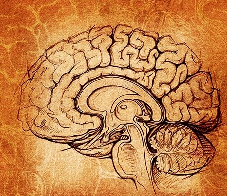 Aludj rá egyet...! Mit mond a tudomány?